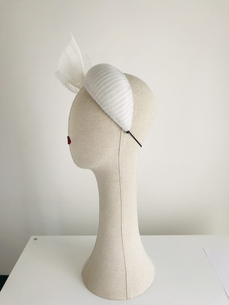 Diadema crin claraele